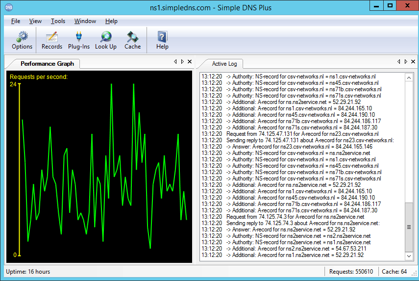 simple dns plus key