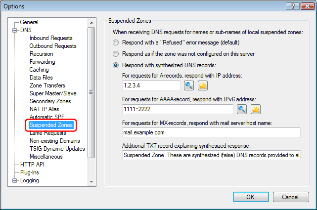 simple dns plus service not automatic start