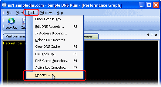 set server ip simple dns plus